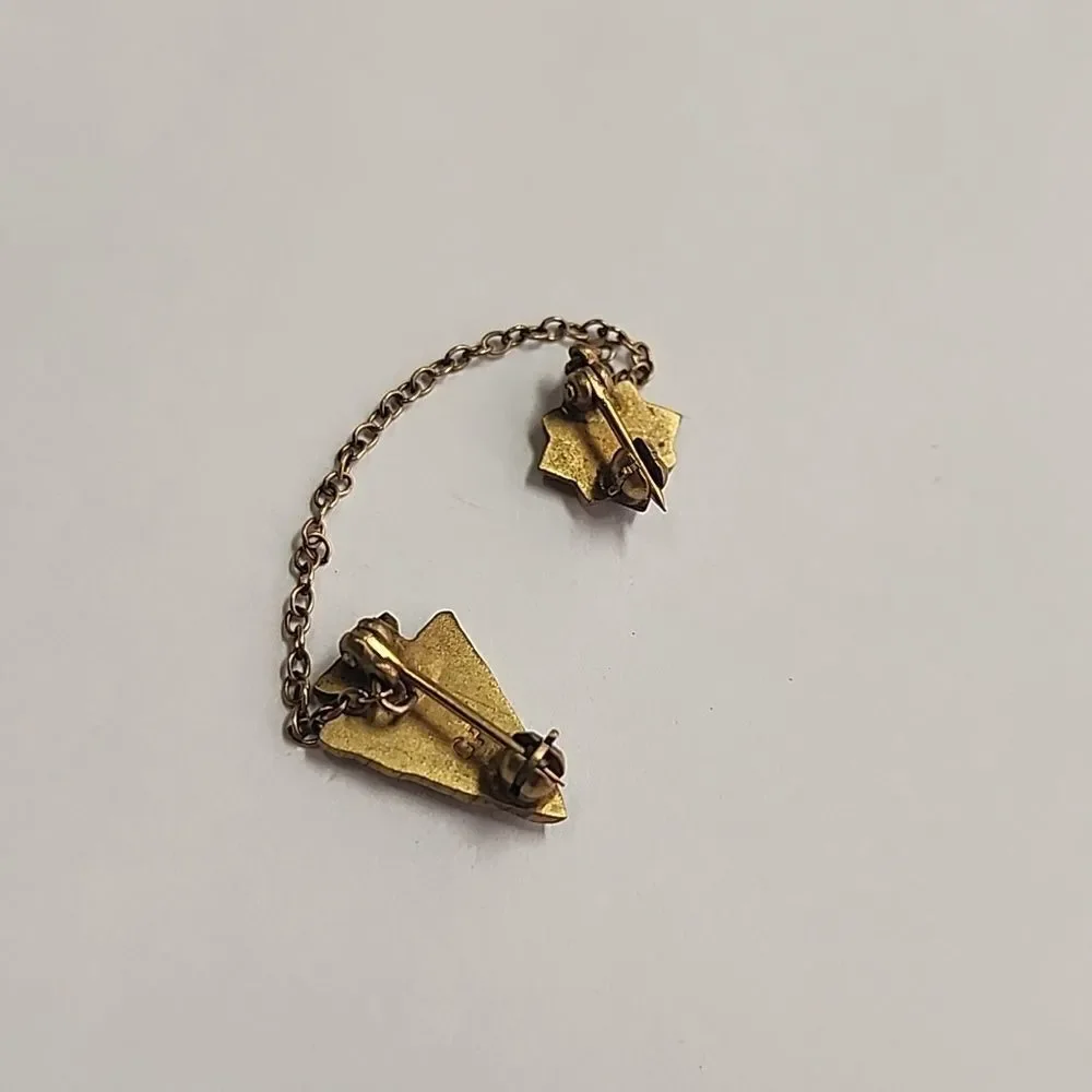 Theta Delta Chi Pin With Chain Gold Filled